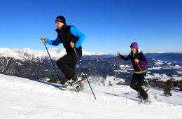 Schneeschuhwandern_Foto Ferienregion Lungau.jpg